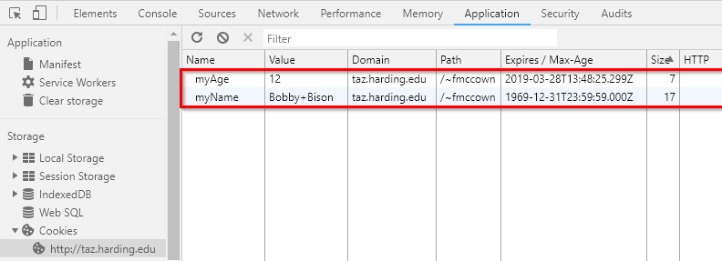 Viewing cookies in Chrome