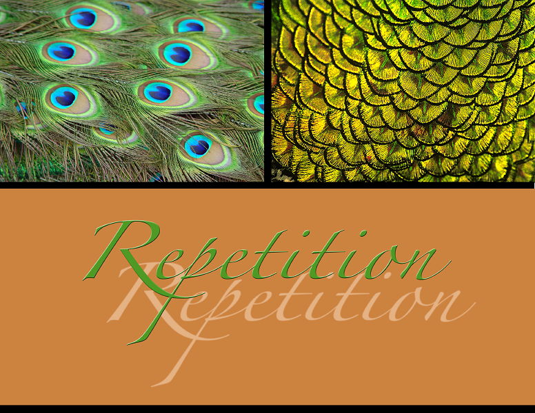 2d-_repetition_lft_pg.jpg