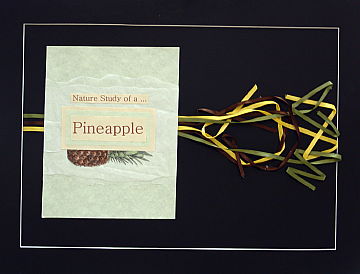 pineappleex_01.jpg