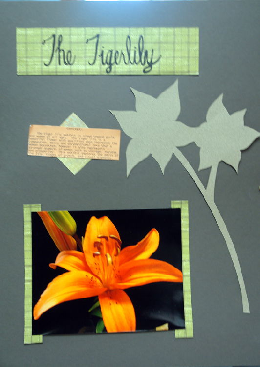 tlily_01.jpg